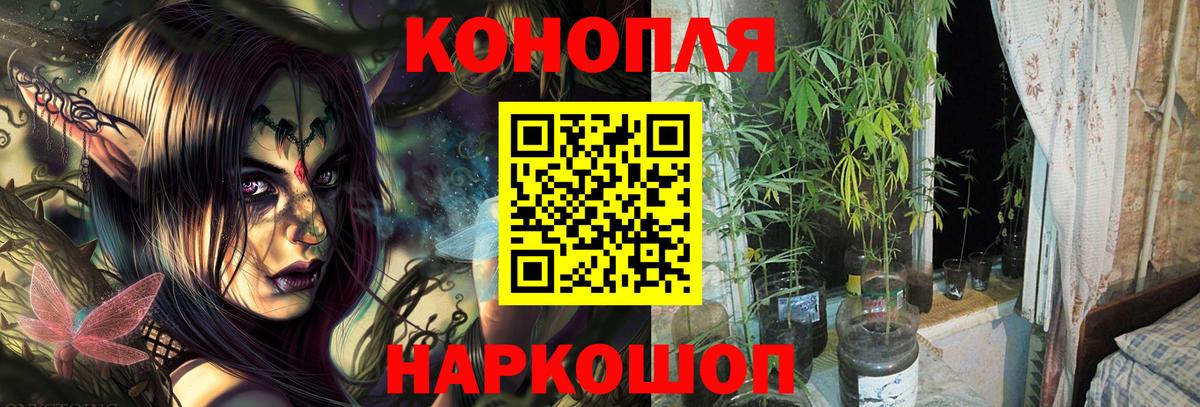 МАРИХУАНА MAZAR  Вход с VPN  Кохма  Бошки Шишки тримм  Бошки Шишки LSD WEED 